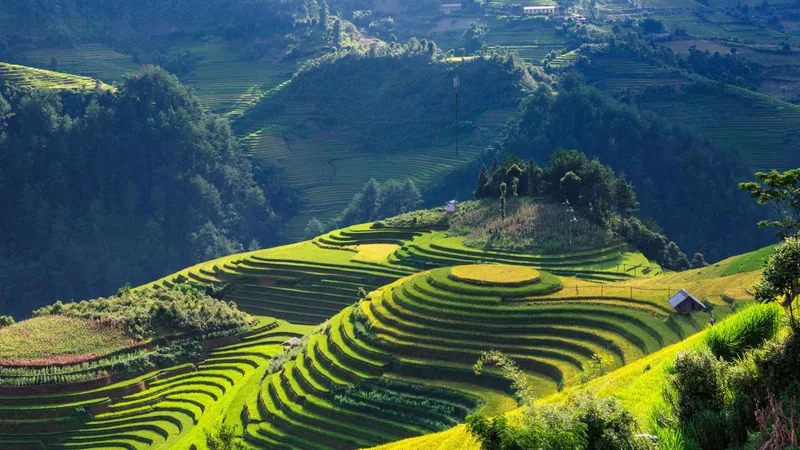 Terraced rice fields in the mountains on a 2 to 3-day Vietnam tour package with limousine transfers, Sapa, Vietnam