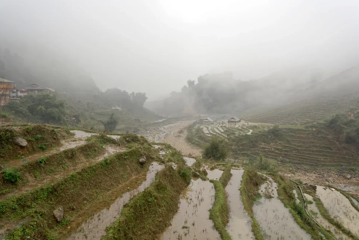 Paddy fields in Lao Chai, Sapa on a 3-Day Sapa Trekking and Homestay Tour